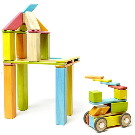 Tegu Magnetic Wooden Building Blocks Set for Children
