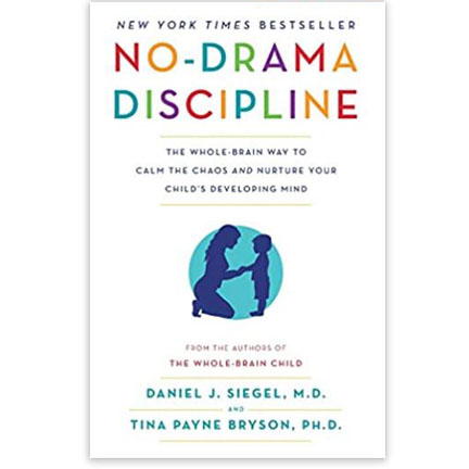 No Drama Discipline Book