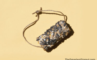 Easy DIY Bird Feeder: Toilet Paper Roll Craft for Creative Kids