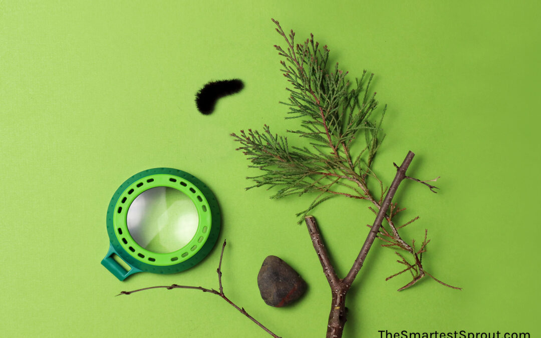 Preschool Science Toys: 6 Remarkable Learning Toys for Little Ones